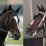 Never-before rivalry: Rachel Alexandra and Zenyatta