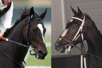 Never-before rivalry: Rachel Alexandra and Zenyatta