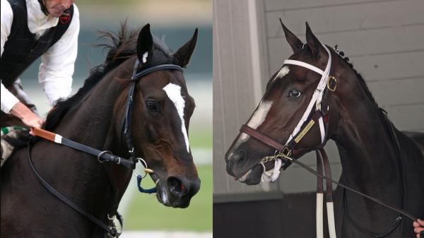 Never-before rivalry: Rachel Alexandra and Zenyatta