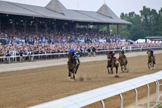 Noel's Weekend Winner: Dundee Stakes in Saratoga is twice as high