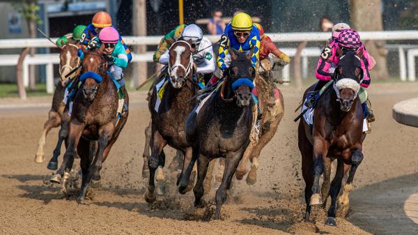Noel's Weekend Winner: Focus on Stakes Sprinters in Saratoga