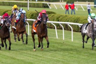 Noel's Weekend Winner: High Stakes in Saratoga on Saturday