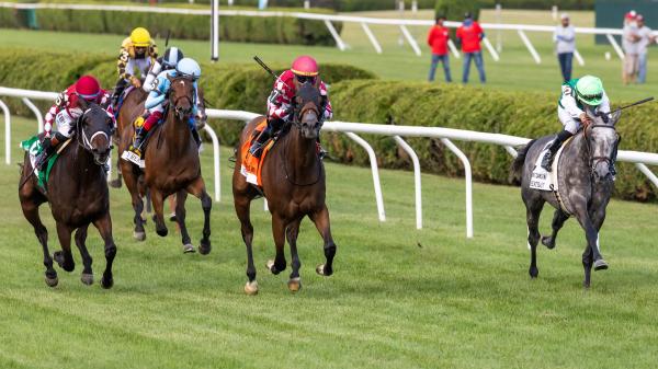 Noel's Weekend Winner: High Stakes in Saratoga on Saturday