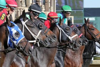 Noel's Weekend Winner: Indiana Oaks Longshot, Indiana Derby Fan Favorites