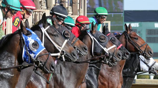 Noel's Weekend Winner: Indiana Oaks Longshot, Indiana Derby Fan Favorites
