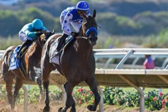 Nysos Rolls at Del Mar, Lovesick Blues disrupt Bing Crosby Stakes