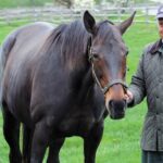 Patient and versatile craftsman Jonathan Shepherd achieved incredible success