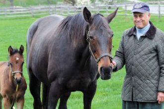 Patient and versatile craftsman Jonathan Shepherd achieved incredible success