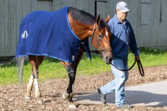 Preakness Winner Journalism targets $1 million Haskell stakes