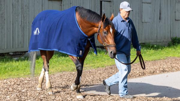 Preakness Winner Journalism targets $1 million Haskell stakes