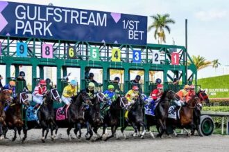 Princess Rooney leads the fall stakes schedule