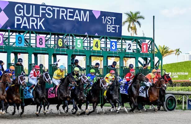 Princess Rooney leads the fall stakes schedule