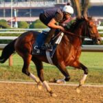 Program trading is one of the 52 graders on the tab