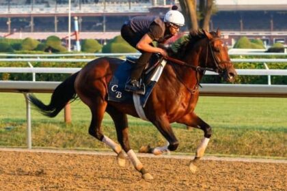 Program trading is one of the 52 graders on the tab