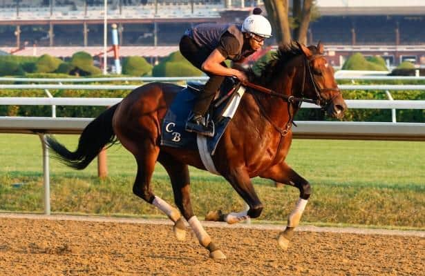 Program trading is one of the 52 graders on the tab