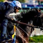 Sierra Leone is a top selection of stacked Whitney Stakes