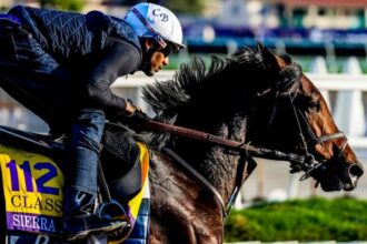 Sierra Leone is a top selection of stacked Whitney Stakes
