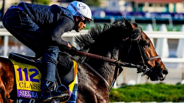 Sierra Leone is a top selection of stacked Whitney Stakes