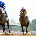 Sovereignty remains on the leaderboard of Equibase, NYSOS, to increase