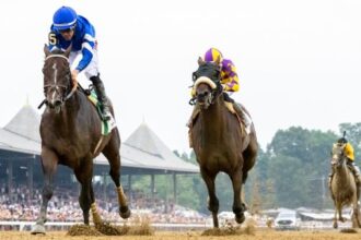 Sovereignty remains on the leaderboard of Equibase, NYSOS, to increase