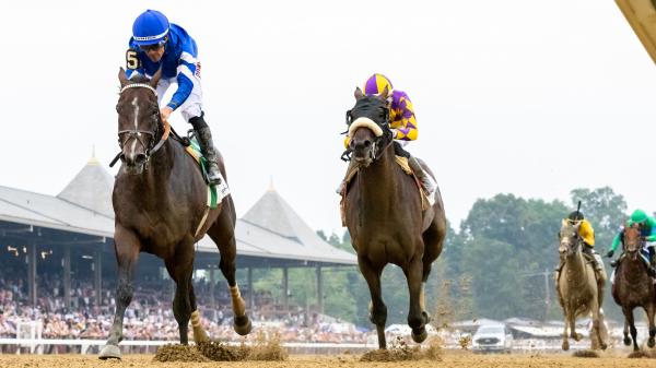 Sovereignty remains on the leaderboard of Equibase, NYSOS, to increase