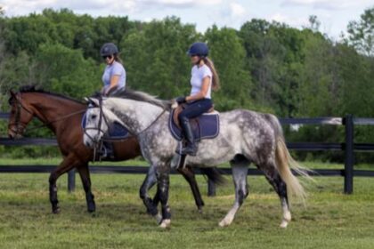 Success Story of Thoroughbred Aftercare Alliance: Find out what he needs most for me