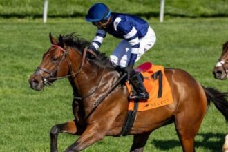 Test scores chase the first-year victory in the Belmont Derby