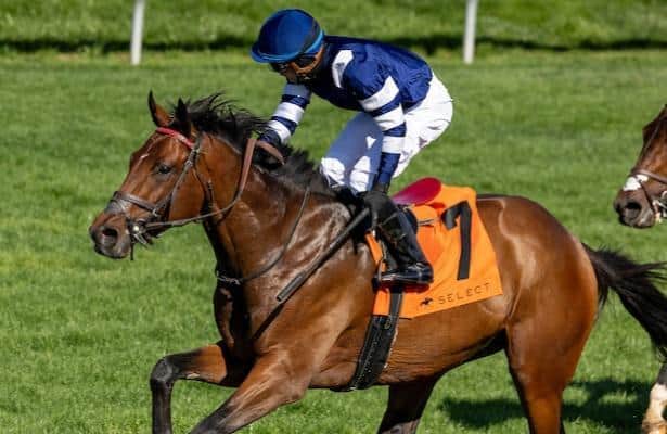 Test scores chase the first-year victory in the Belmont Derby