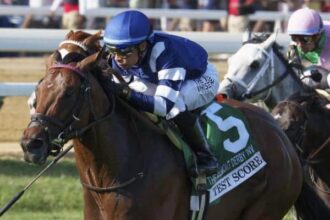 Test scores will win first-year students in Saratoga's Belmont Derby