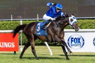 Think big when you bet on the 2025 Fourstardave Stakes