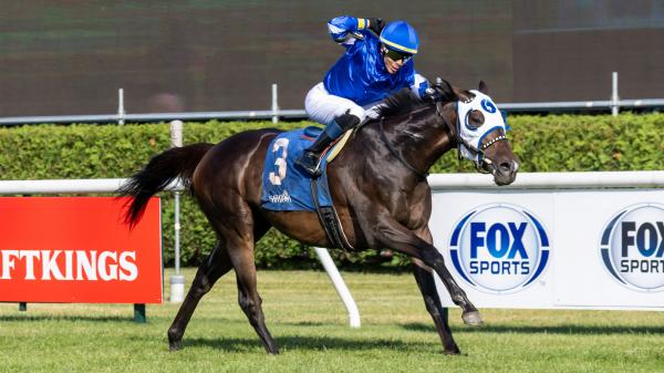 Think big when you bet on the 2025 Fourstardave Stakes