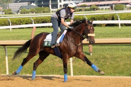 Third Charm: Baeza can defeat sovereignty at Jim Dande Stakes