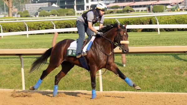 Third Charm: Baeza can defeat sovereignty at Jim Dande Stakes