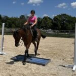 Thoroughbred Transformation Diary: Stimulating and nervous times