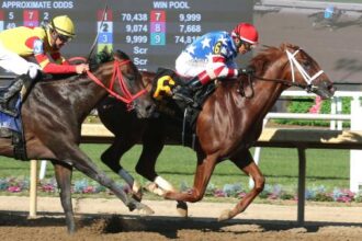 Tip Top Thomas has proven success with victory in the Indiana Derby
