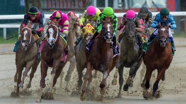 Track trends and grass tips to help you win at the 2025 Saratoga tournament