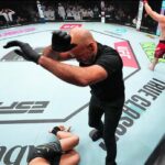 Muslim Salikhov, UFC Abu Dhabi, Bonus, UFC