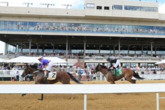 Use Colonial Downs Star Denas Clustakes Distance Angle Reduction