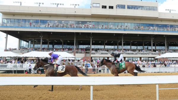 Use Colonial Downs Star Denas Clustakes Distance Angle Reduction