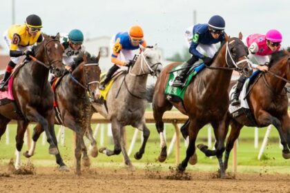Where to see/listen: Reports on horse racing on the weekend of July 4th