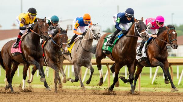 Where to see/listen: Reports on horse racing on the weekend of July 4th