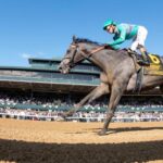 Which horses can beat journalism in Haskell's stakes?