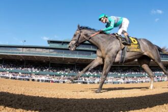 Which horses can beat journalism in Haskell's stakes?
