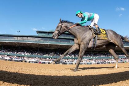 Which horses can beat journalism in Haskell's stakes?
