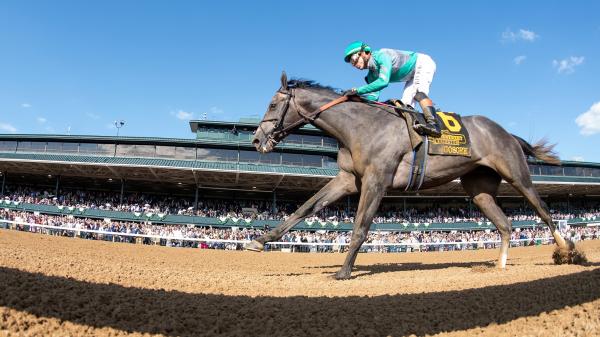 Which horses can beat journalism in Haskell's stakes?