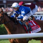 Buy or sell on the road to the Breeders' Cup: Sword Dancer Stakes Winner El Cordobes