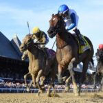 Buy or sell on the road to the Breeders' Cup: Discreet Stakes Winner Book'em danno