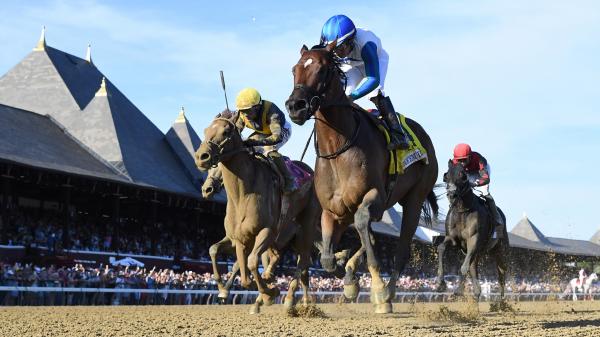 Buy or sell on the road to the Breeders' Cup: Discreet Stakes Winner Book'em danno