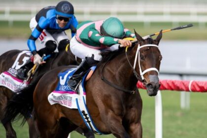 2025 Beverly D. Stakes