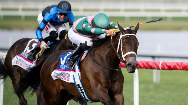 2025 Beverly D. Stakes
